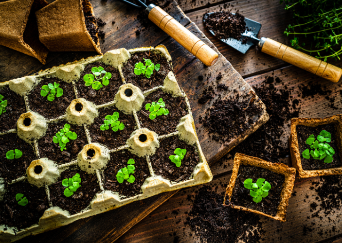 Akustikpaneele sichern